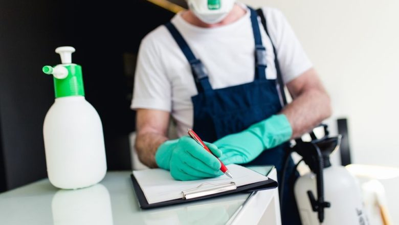 6 Handy Tips To Find The Best Pest Control Service In Your Area