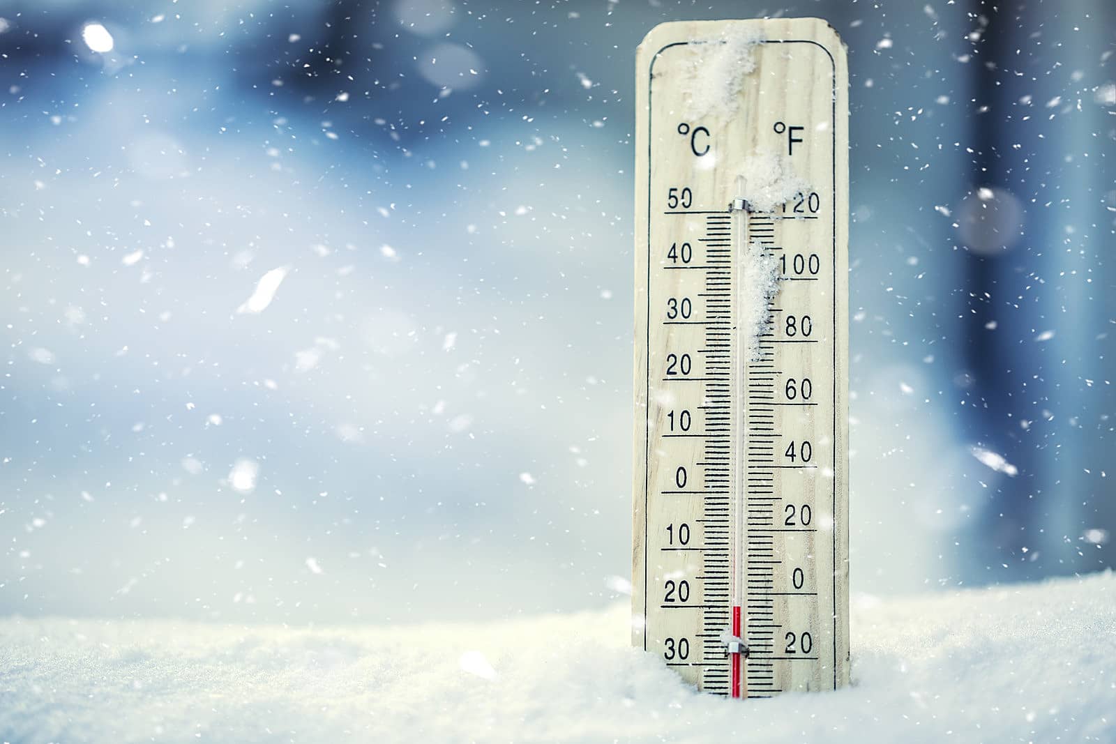 Biting Cold