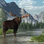 6 of the Top Outdoor Things to Do When Visiting Alaska