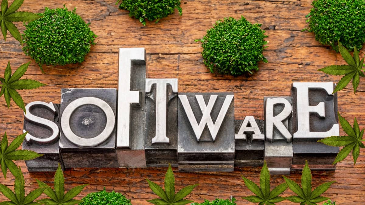 software text and plants and Cannabis