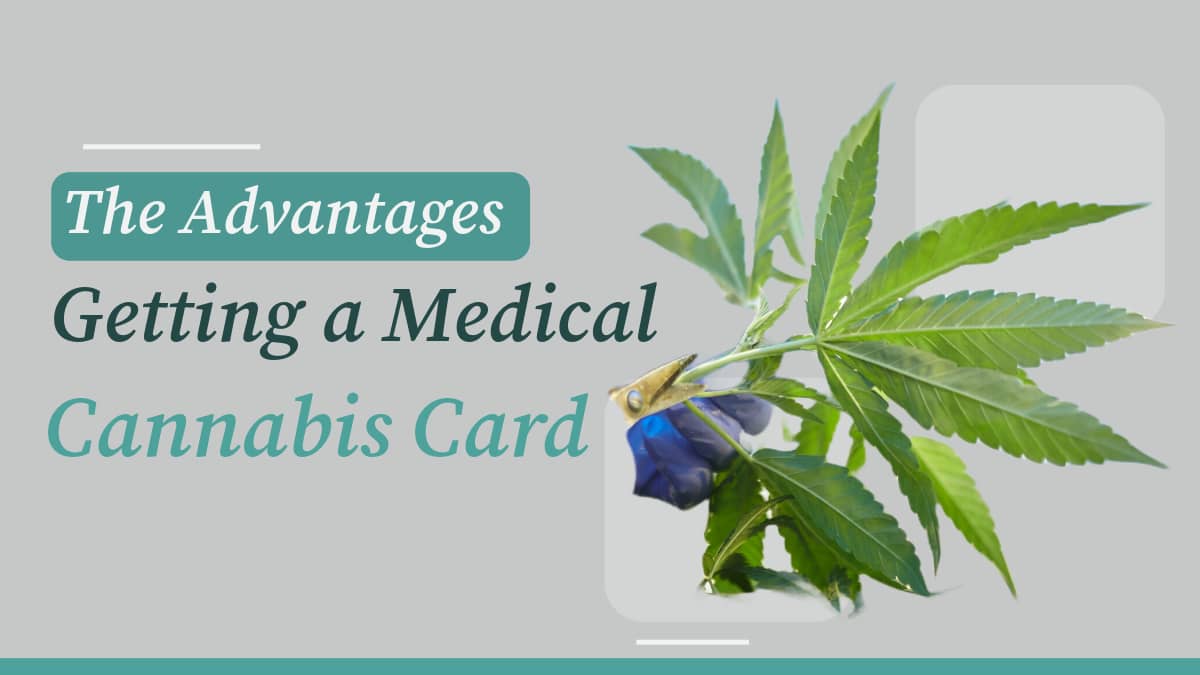 image of Medical Cannabis with text