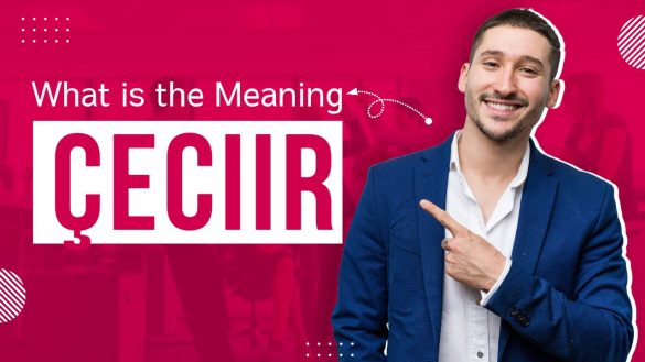 Man is telling meaning of Çeciir