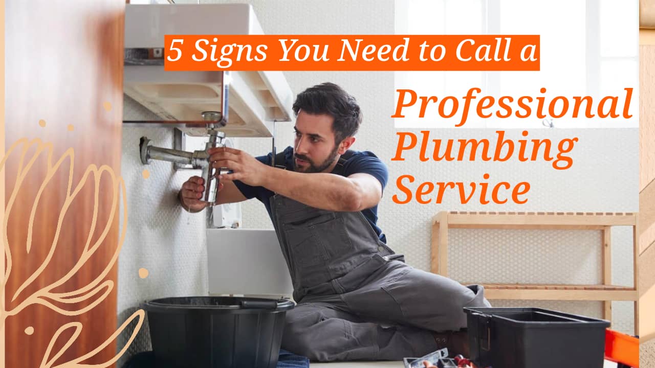 Need of a Professional Plumbing Service