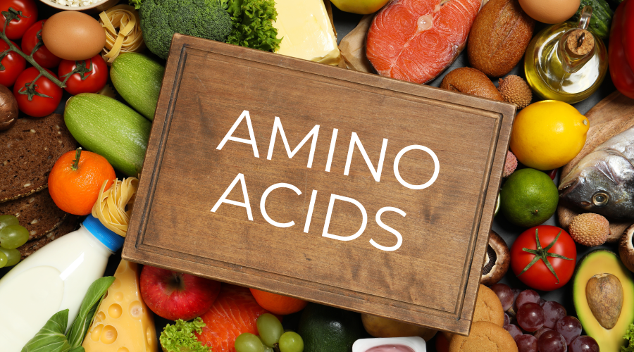 add Amino Acids in Your Diet