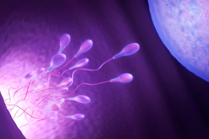 Foundation of Fertility
