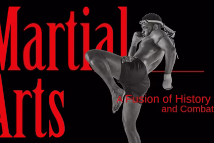 a medieval knight in a martial arts novel